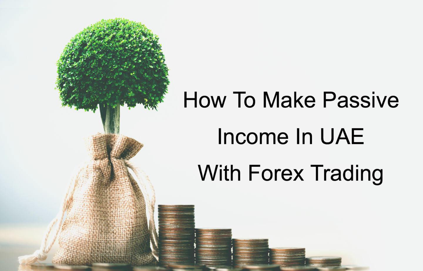 how to make passive income with forex trading in UAE.